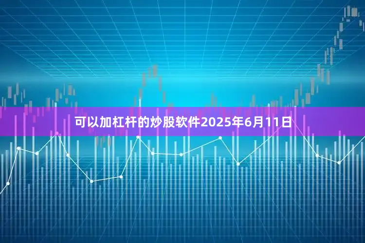 可以加杠杆的炒股软件2025年6月11日