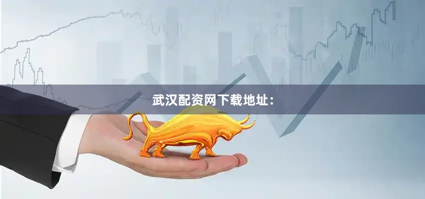 武汉配资网下载地址：