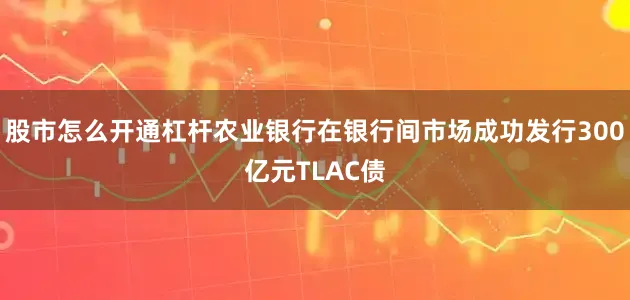 股市怎么开通杠杆农业银行在银行间市场成功发行300亿元TLAC债