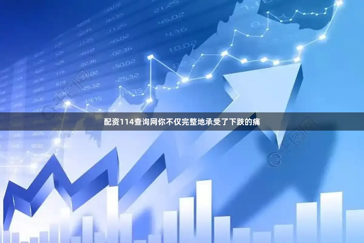 配资114查询网你不仅完整地承受了下跌的痛