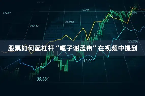 股票如何配杠杆“嘎子谢孟伟”在视频中提到